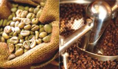 咖啡生豆的基礎篩選：咖啡豆篩選與分級的國家系統