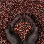 肯尼亞咖啡風味美味起源、簡要歷史介紹 喝肯尼亞咖啡有什麼益處