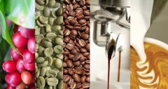 【2018年最新版】咖啡豆怎麼做咖啡 咖啡豆最好的品牌推薦