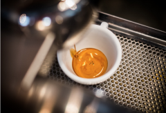 意式咖啡機的最佳衝煮水溫 水溫對意式濃縮咖啡口味和萃取的影響