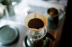 咖啡豆養豆期與新鮮度如何取捨？養豆多久纔是最佳賞味期限？