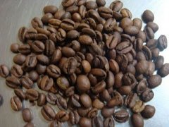 咖啡豆養豆期究竟多長？難道要等３個星期以上才能喝？