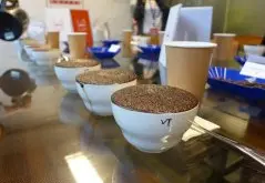 咖啡什麼是杯測鑑定coffee cupping？scaa咖啡杯測的流程初體驗