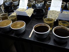 Cupping 咖啡杯測步驟講解 咖啡杯測什麼時候破粉？