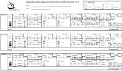 咖啡杯測筆試 SCAA 杯測量表Cupping Form如何使用？