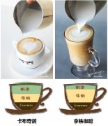 一張圖告訴你卡布奇諾咖啡的做法與拿鐵有什麼不同