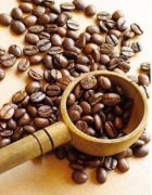 雨林咖啡-日曬曼特寧 有故事的曼特寧咖啡最便宜多少錢一杯？
