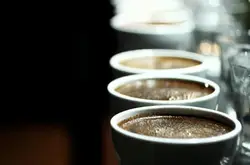 單品咖啡和拼配咖啡有什麼區別？單品咖啡就一定更好喝嗎？