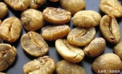 曼特寧咖啡 陳年曼特寧咖啡豆品種和名字由來故事和口感特點