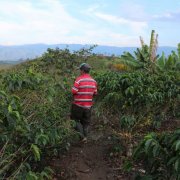 哥倫比亞慧蘭產區幸運農場La Fortuna介紹 哥倫比亞咖啡怎麼喝