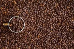 咖啡豆蜜處理過程與加工方式的演變 咖啡生豆金蜜處理是怎麼回事