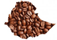 阿拉比卡(Arabica)咖啡豆的故鄉-埃塞俄比亞 阿拉比卡是哪個國家