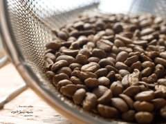 咖啡粉可以直接喫嗎？咖啡豆磨成粉其實是可以喫的