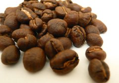 咖啡公豆原來也算瑕疵豆？公豆咖啡怎麼泡好喝？