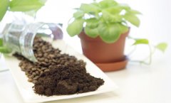 咖啡渣可以去甲醛嗎 咖啡渣消除異味、除溼除蟲 咖啡渣家居實用篇