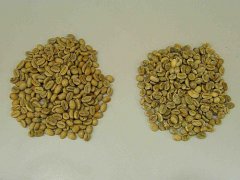 什麼是摩卡咖啡？也門摩卡-瑪塔莉日曬豆是也門真正的摩卡咖啡豆