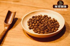 咖啡等級劃分依據以及命名規則 咖啡豆分級的幾種分類法介紹