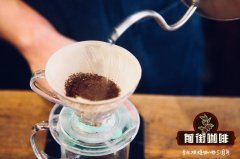 Malongo La Tierra純阿拉比卡咖啡 阿拉比卡咖啡粉的沖泡方法圖解