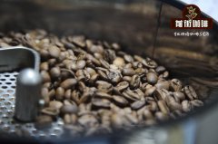 咖啡工房研習課室 | 陳年曼特寧產區陳年豆處理法烘焙衝煮分析