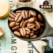 巴西深度烘焙咖啡粉怎麼中出 巴西咖啡豆手沖沖煮研磨度水溫推薦