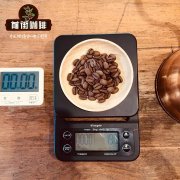 危地馬拉傾城莊園水洗卡杜拉咖啡豆風味描述烘焙分析手衝參數建議