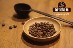 咖啡知識：咖啡豆烘焙度差別在哪？咖啡豆出油跟咖啡新鮮度有關嗎