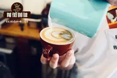 咖啡拉花視頻混剪 外國高手咖啡拉花技巧視頻教程