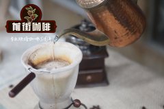 全球最珍貴的咖啡豆-貓屎咖啡名字的由來 貓屎咖啡建議烘焙度