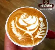 德龍咖啡機官網_德龍咖啡機說明書_德龍咖啡機除垢步驟教程
