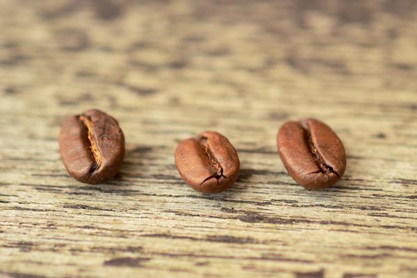 健康喝咖啡 | 如何判斷咖啡的新鮮度與保存方法技巧