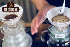 雲南咖啡種植農遇到困境？雲南小粒種咖啡好喝嗎？