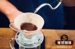 印尼貓屎咖啡體驗 貓屎咖啡的由來與貓屎咖啡怎麼沖泡方法