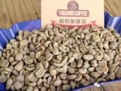 各地產區咖啡豆的不同，有什麼風味、哪些豆子好喝、怎麼衝好喝？