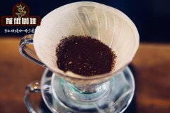 　精品咖啡定義SCAA究竟是什麼？咖啡粉怎麼喝？