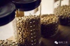 什麼是低溫水洗髮酵法？冷凍處理咖啡生豆有什麼優點？如何進行生