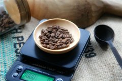 星巴克用的什麼咖啡機 星巴克意式咖啡機品牌介紹