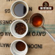 阿拉比卡咖啡豆原來是小果咖啡？阿拉伯咖啡與阿拉比卡咖啡的區別