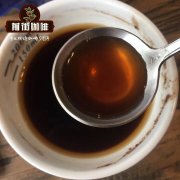 中國第一家咖啡廠在雲南 雲南咖啡種植和生產基地