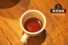 中國精品咖啡有哪些品牌？你知道真正的精品咖啡成本幾塊錢嗎？