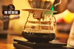 知識分子在樹墩城喝藍瓶咖啡！世界三大精品咖啡品牌推薦一試
