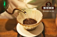 阿拉比卡咖啡豆變種-鐵皮卡咖啡豆乾香溼香描述 鐵皮卡口感如何？