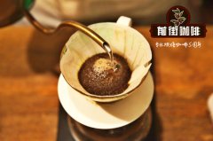 《鐵皮卡咖啡豆品鑑報告》小粒咖啡鐵皮卡咖啡豆味道有什麼特別？