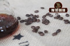 咖啡的常見品種，什麼是阿拉比卡，羅布斯塔豆？？