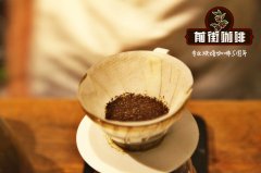 老撾波羅芬高原咖啡豆介紹 老撾dao咖啡哪一種好喝 有哪幾種咖啡