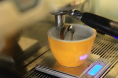 歐洲精品咖啡協會考證標準課程有哪些？中國有scae國際咖啡師證嗎