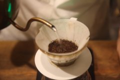 王力咖啡的創辦人王朱岑小檔案 王力咖啡貿易有限公司的發跡之路