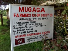 肯尼亞錫卡咖啡產區風味特點 木嘎嘎Mugaga蜂蜜處理廠信息介紹