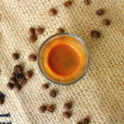 洪都拉斯San Vicente聖文森處理廠 帕萊伊內瑪Parainema咖啡品種