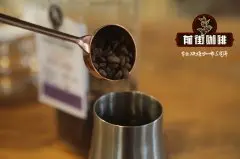 埃塞俄比亞哈拉Harrar產區咖啡怎麼樣？哈拉爾咖啡手衝風味特點