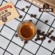 也門咖啡品種Udaini烏黛妮咖啡歷史起源介紹 也門咖啡原來是鐵皮